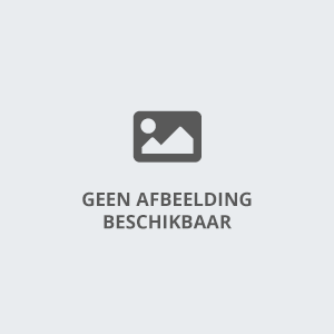 bet casino bet casino