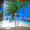 Palmboom dubbel