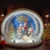 Snowglobe levensgroot