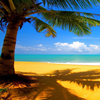 Caribbean