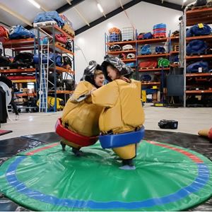 Sumo worstelen voor kinderen