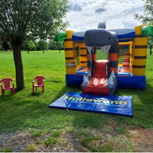 Springkussen Mini Bounce Haai