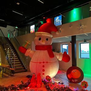 Opblaasbare sneeuwpop