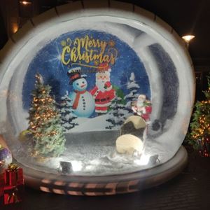 Snowglobe levensgroot