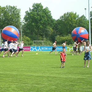 Wereldbal