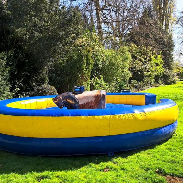 rodeostierhuren rodeostierhuren